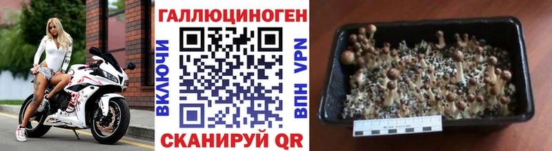 Галлюциногенные грибы мицелий  где можно купить наркотик  маркетплейс формула  Евпатория  ссылка на мегу как зайти 