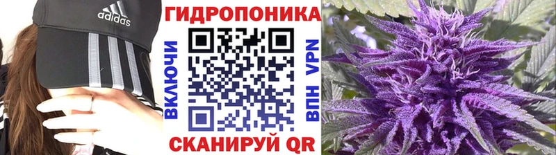 Каннабис гибрид  Евпатория 